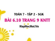 Bài 6.10 trang 9 Toán 7 Tập 2 Kết nối tri thức